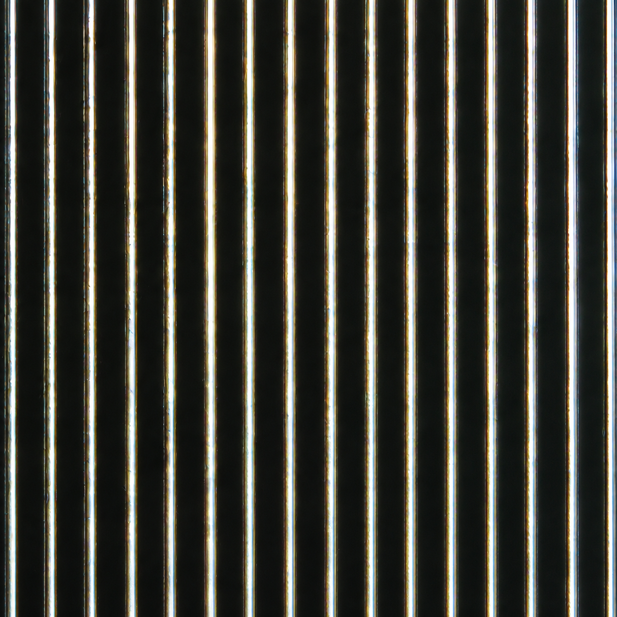 Close up of wires of 10 micron wire grid polarizer